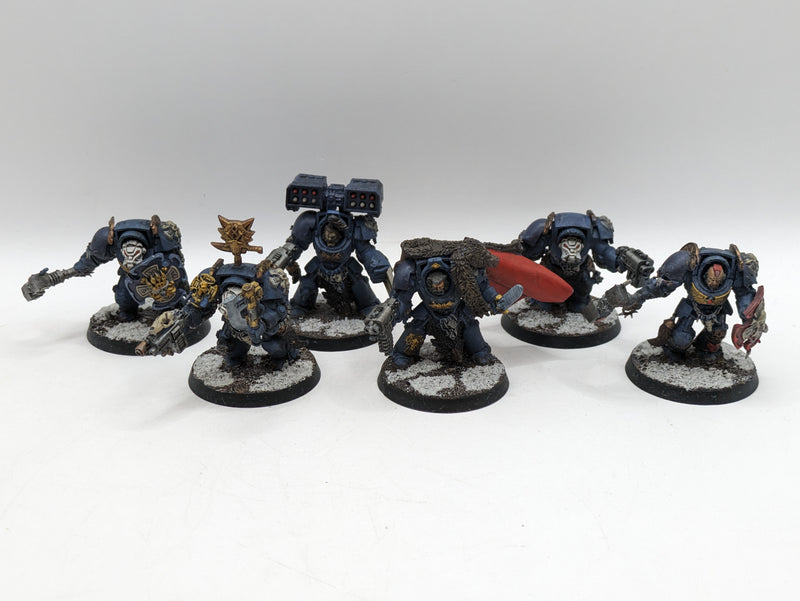 Warhammer 40k: Space Marines Space Wolves Wolf guard Terminators (AE024)