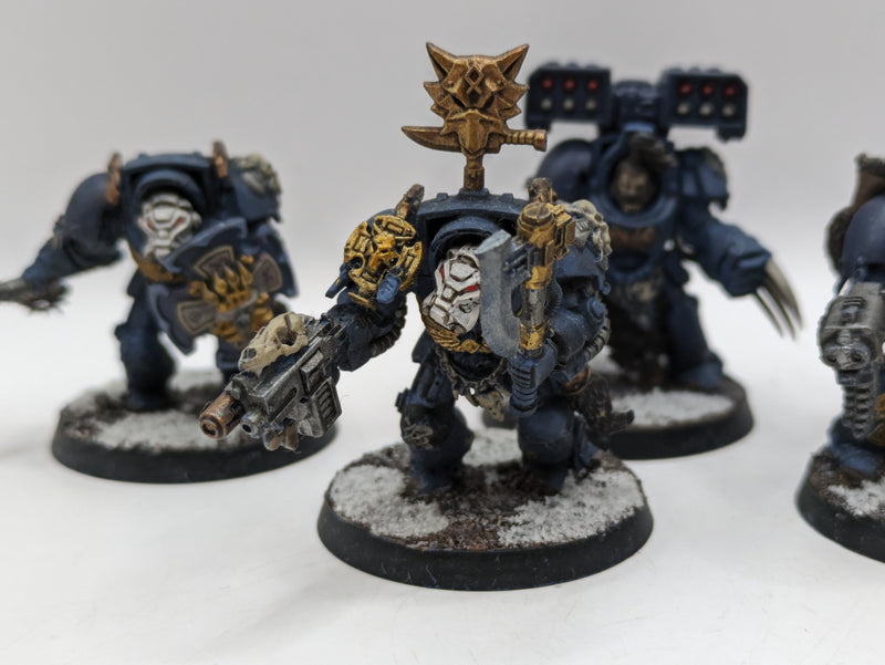 Warhammer 40k: Space Marines Space Wolves Wolf guard Terminators (AE024)