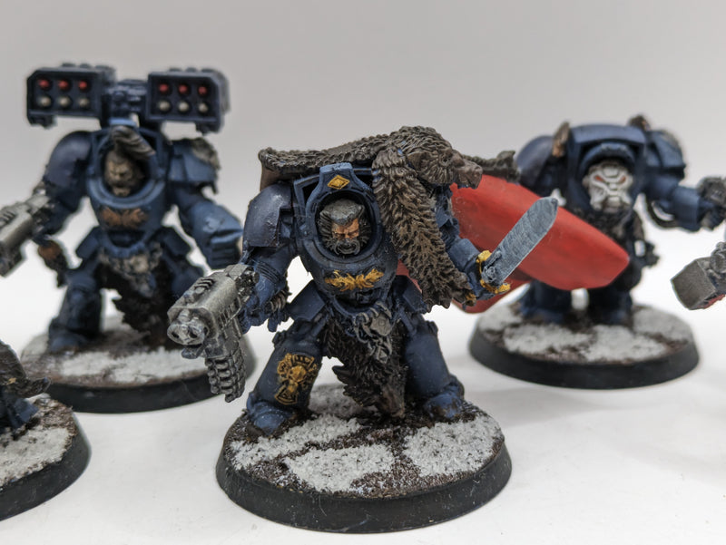 Warhammer 40k: Space Marines Space Wolves Wolf guard Terminators (AE024)