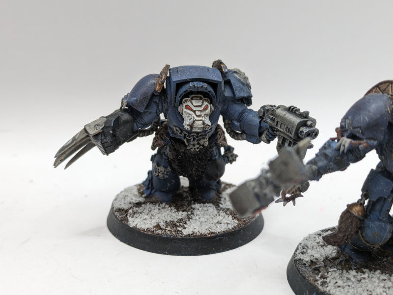 Warhammer 40k: Space Marines Space Wolves Wolf guard Terminators (AE024)