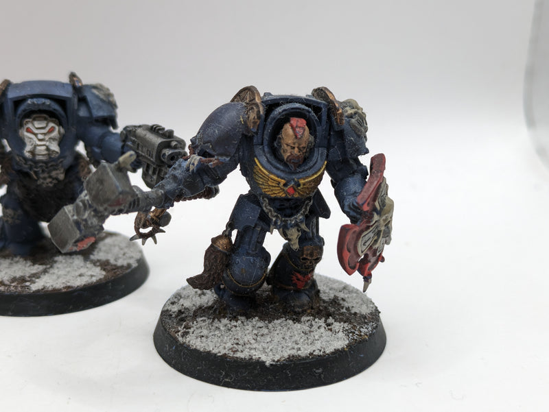 Warhammer 40k: Space Marines Space Wolves Wolf guard Terminators (AE024)