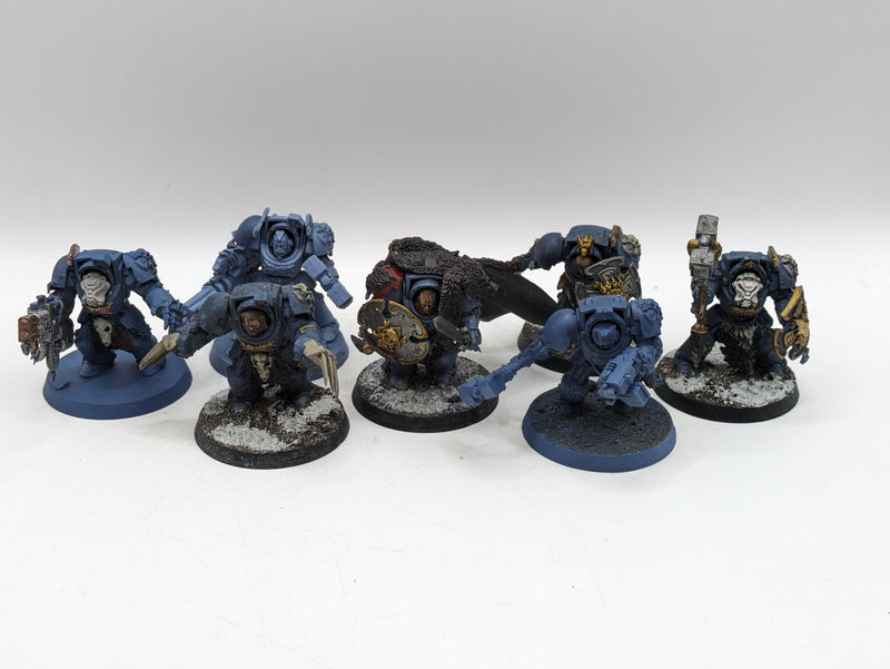 Warhammer 40k: Space Marines Space Wolves Wolf guard Terminators (AE095)