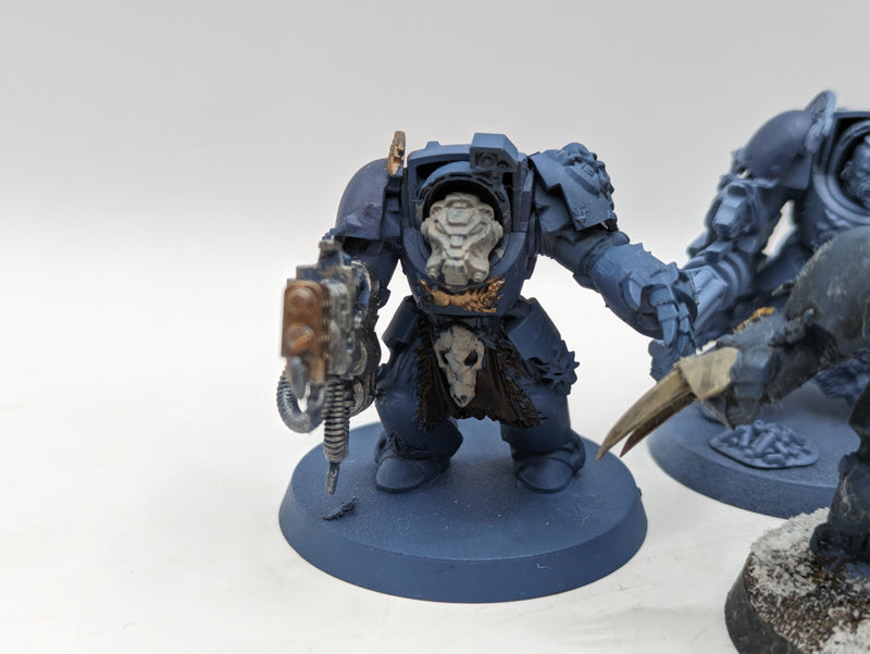 Warhammer 40k: Space Marines Space Wolves Wolf guard Terminators (AE095)