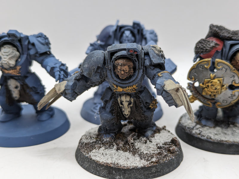 Warhammer 40k: Space Marines Space Wolves Wolf guard Terminators (AE095)