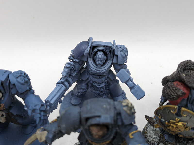 Warhammer 40k: Space Marines Space Wolves Wolf guard Terminators (AE095)