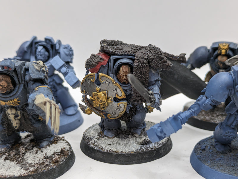 Warhammer 40k: Space Marines Space Wolves Wolf guard Terminators (AE095)