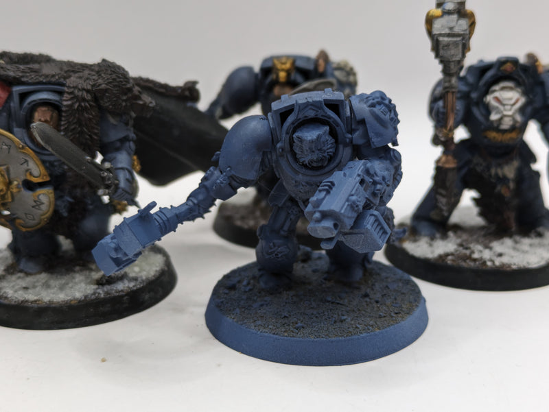 Warhammer 40k: Space Marines Space Wolves Wolf guard Terminators (AE095)