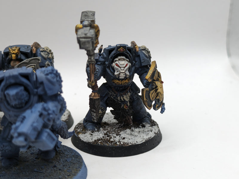 Warhammer 40k: Space Marines Space Wolves Wolf guard Terminators (AE095)