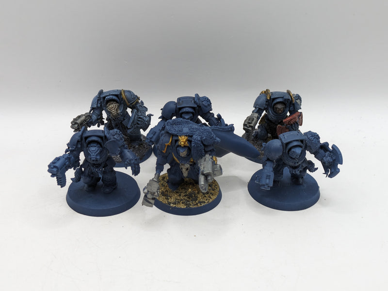 Warhammer 40k: Space Marines Space Wolves Wolf guard Terminators (AO014)