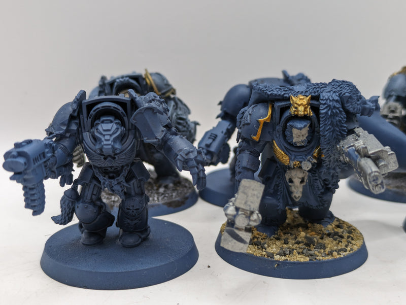 Warhammer 40k: Space Marines Space Wolves Wolf guard Terminators (AO014)