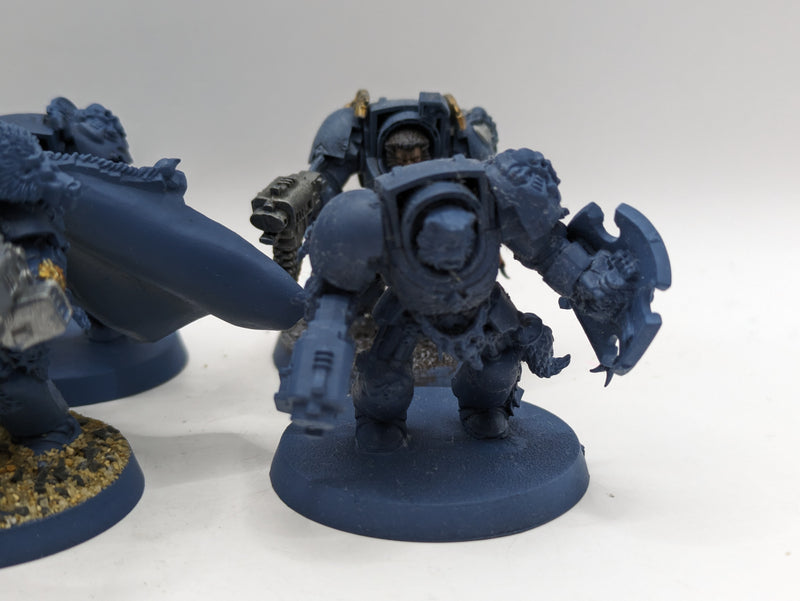 Warhammer 40k: Space Marines Space Wolves Wolf guard Terminators (AO014)