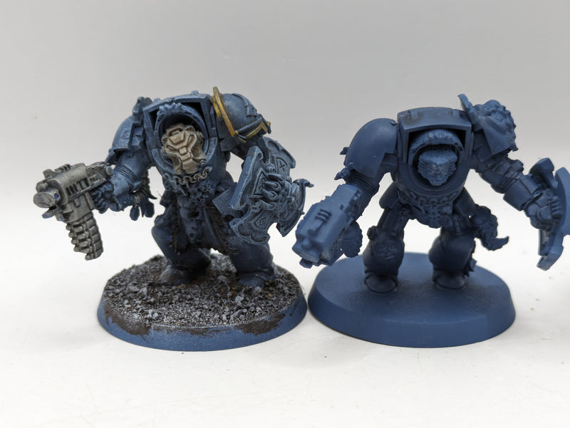 Warhammer 40k: Space Marines Space Wolves Wolf guard Terminators (AO014)