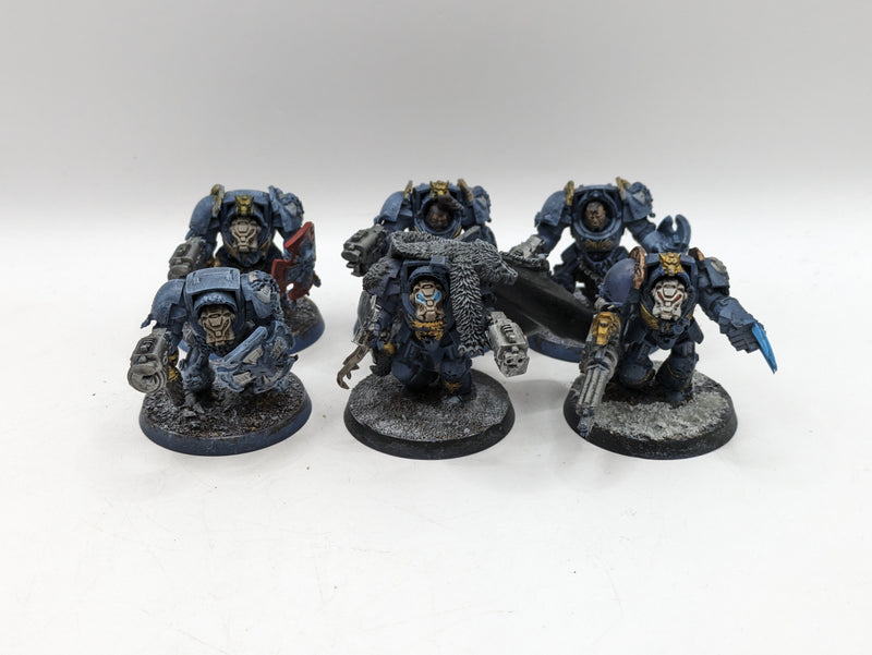 Warhammer 40k: Space Marines Space Wolves Wolf guard Terminators (AT102)