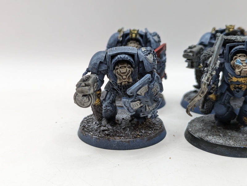 Warhammer 40k: Space Marines Space Wolves Wolf guard Terminators (AT102)