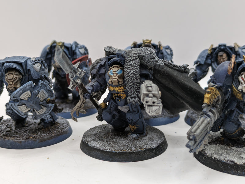 Warhammer 40k: Space Marines Space Wolves Wolf guard Terminators (AT102)