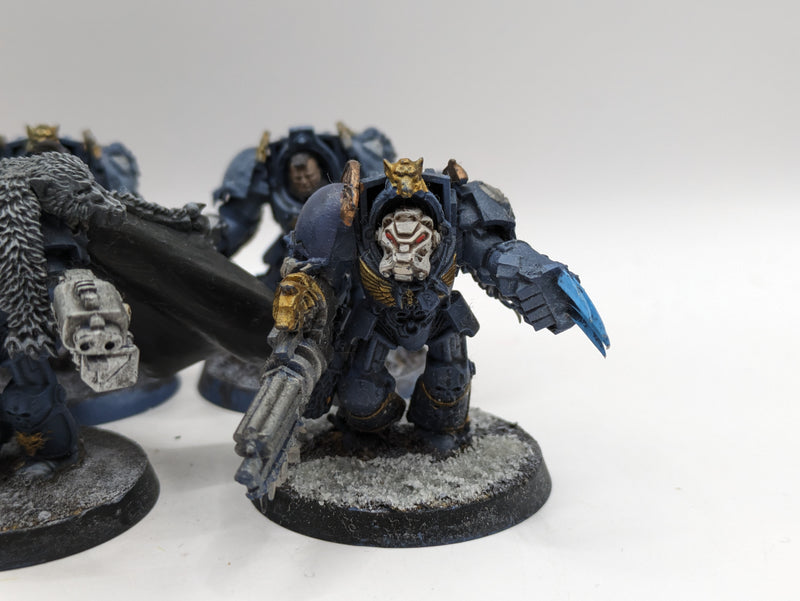 Warhammer 40k: Space Marines Space Wolves Wolf guard Terminators (AT102)