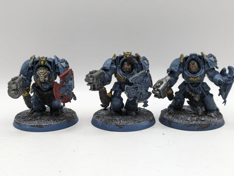 Warhammer 40k: Space Marines Space Wolves Wolf guard Terminators (AT102)