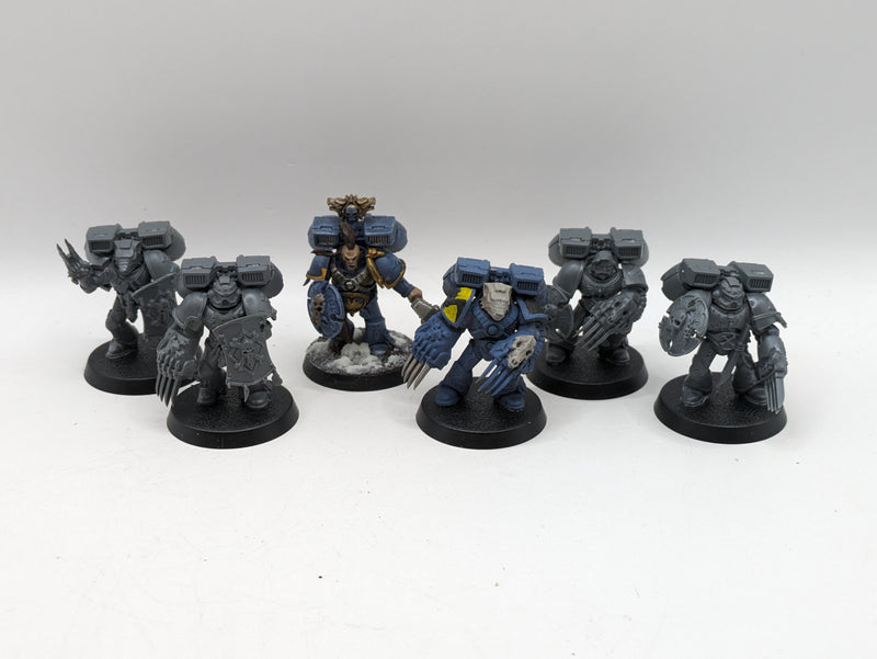 Warhammer 40k: Space Marines Space Wolves Vanguard Veterans (AA041)