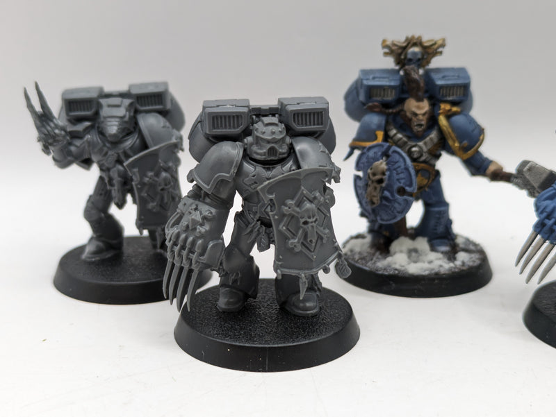 Warhammer 40k: Space Marines Space Wolves Vanguard Veterans (AA041)