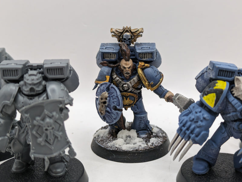 Warhammer 40k: Space Marines Space Wolves Vanguard Veterans (AA041)