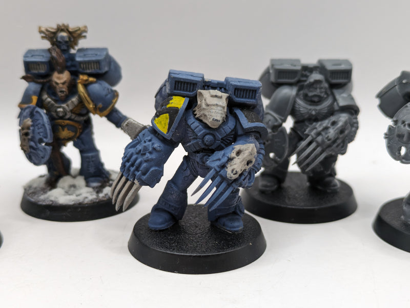 Warhammer 40k: Space Marines Space Wolves Vanguard Veterans (AA041)