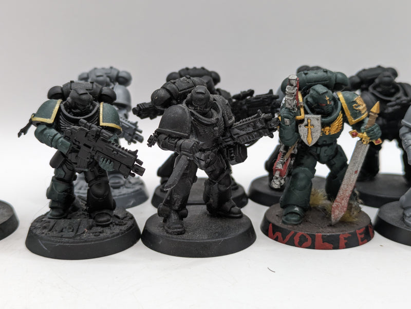 Warhammer 40k: Space Marine Intercessors and Bladeguard Lieutenant (BA192)