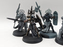 Warhammer 40k: Adepta Sororitas Celestian Sacresants and Palatine (BC026)