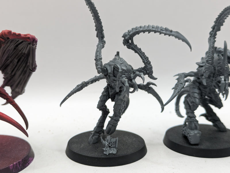 Warhammer 40k: Tyranids Von Ryan's Leapers and Tyranid Winged Prime (AI023)