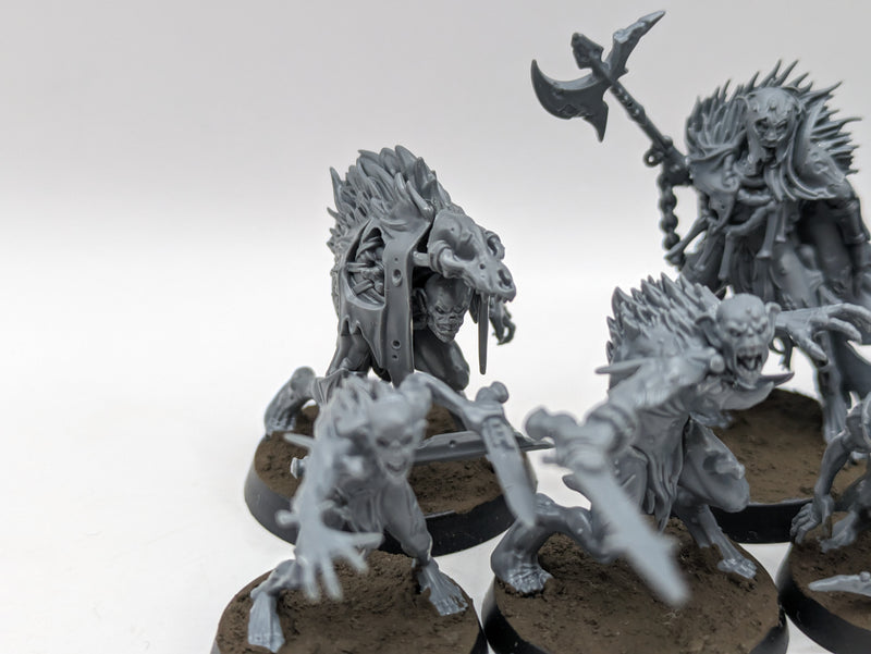 Age of Sigmar Warcry: Royal Beastflayers and Abhorrant Archregent (AO022)