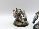 Warhammer 40k: Space Marine Dark Angels Deathwing Terminators - Well Painted (AC067)