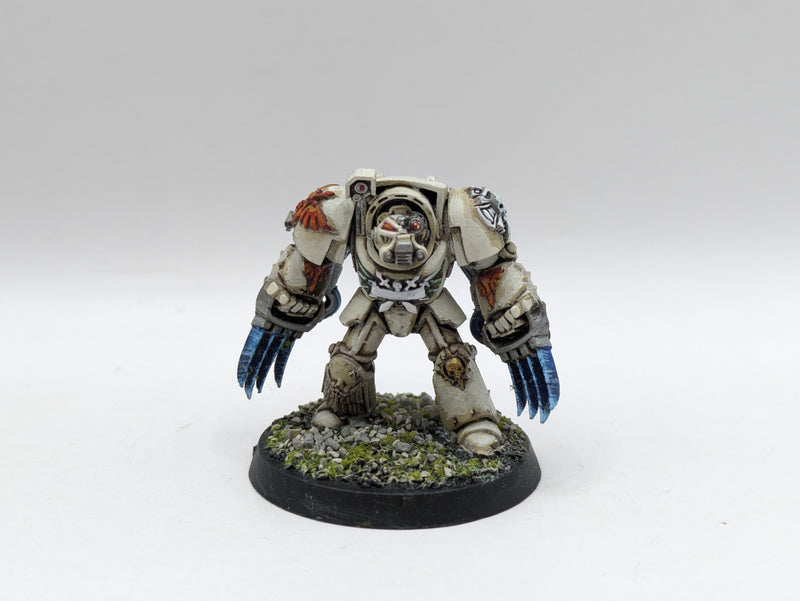 Warhammer 40k: Space Marine Dark Angels Deathwing Terminators - Well Painted (AC067)