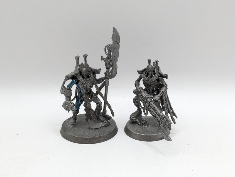 Warhammer 40k: Necrons Indomitus Overlord and Royal Warden (AZ185)