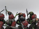 Warhammer Age of Sigmar: Orruk Warclans Kruleboyz Gutrippaz (AD075)