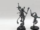 Warhammer 40k: Aeldari Harlequins Troupe and Shadowseer (AC018)
