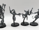 Warhammer 40k: Aeldari Harlequins Troupe and Shadowseer (AC018)