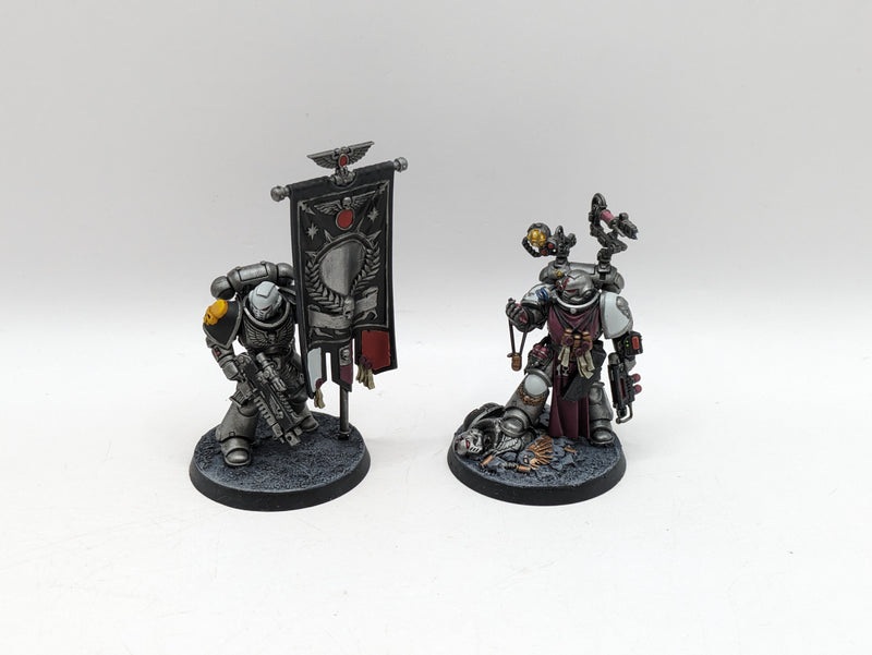 Warhammer 40k: Space Marine Silver Skulls Apothecary and Ancient (AC020)