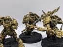Warhammer 40k: Adeptus Custodes Custodian Guard (AT011)