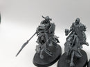Warhammer Age of Sigmar: Soulblight Gravelords Black Knights (AZ196)