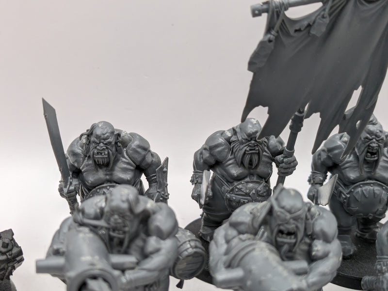 Warhammer Age of Sigmar: Ogor Mawtribes Gluttons and Tyrant (AO001)