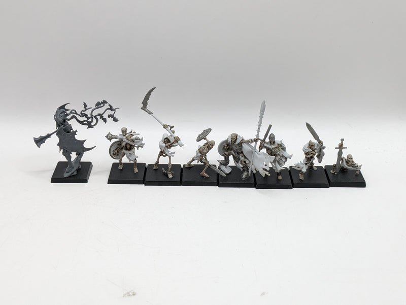 Warhammer Age of Sigmar: Soulblight Gravelords Sepulchral Guard and Vampire Lord (AO031)