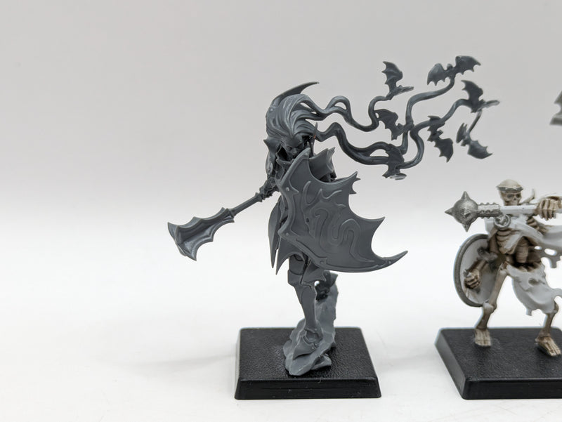 Warhammer Age of Sigmar: Soulblight Gravelords Sepulchral Guard and Vampire Lord (AO031)