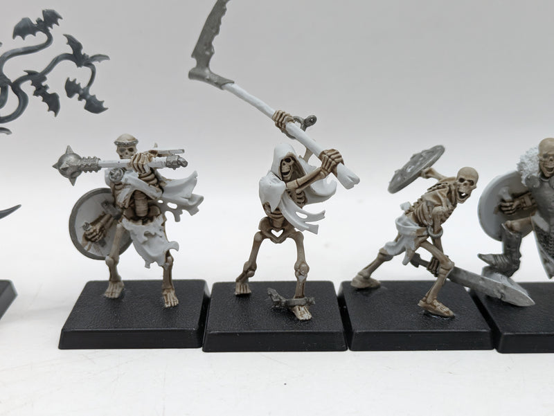 Warhammer Age of Sigmar: Soulblight Gravelords Sepulchral Guard and Vampire Lord (AO031)