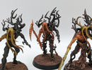 Warhammer Age of Sigmar: Sylvaneth Tree-Revenants (AW072)