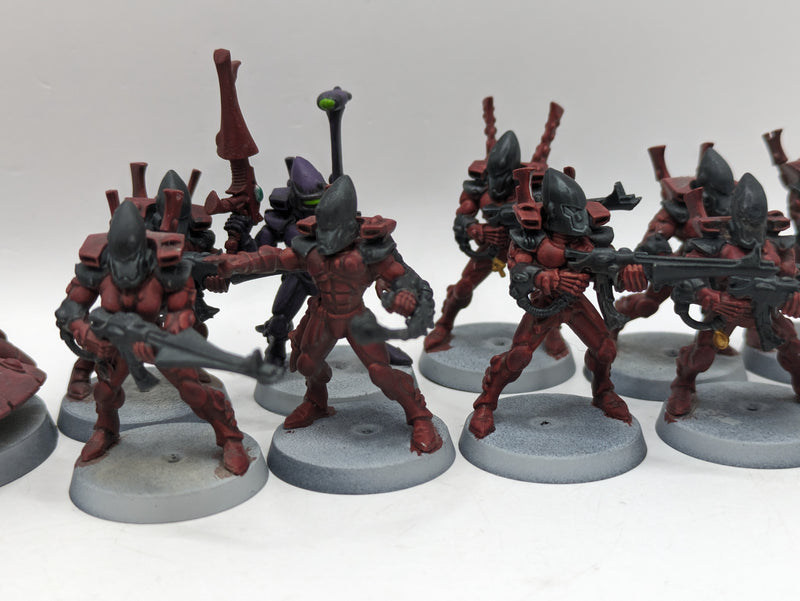 Warhammer 40k: Aeldari Farseer and Guardian Squads (AT052)