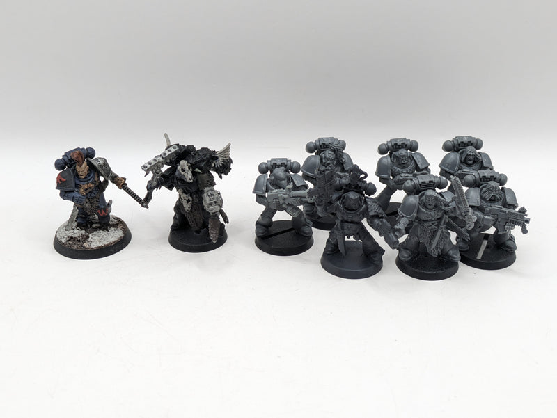 Warhammer 40k: Space Marine Space Wolves Blood Claws and Characters (AW029)