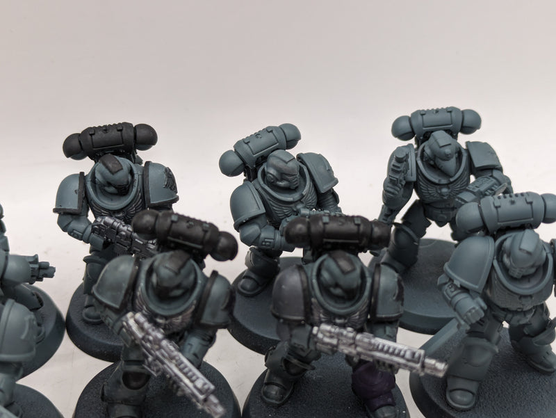 Warhammer 40k: Space Marine Intercessors and Indomitus Captain (BA144)