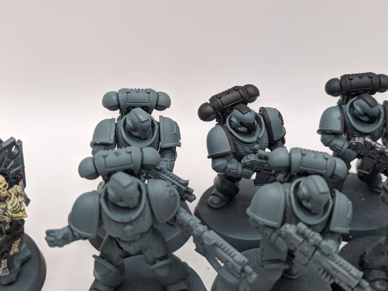 Warhammer 40k: Space Marine Intercessors and Indomitus Captain (BA144)