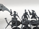 Warhammer 40k: Drukhari Wyches and Venom (AL013)