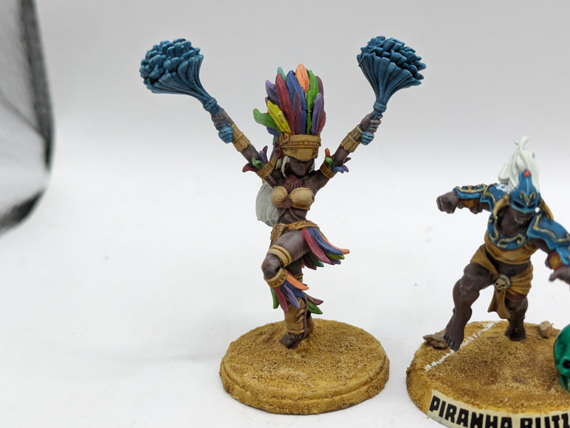 Warhammer Blood Bowl: Amazon Blood Bowl Team - Kara Temple Harpies (AH015)