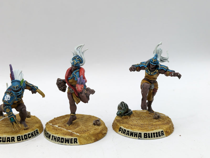 Warhammer Blood Bowl: Amazon Blood Bowl Team - Kara Temple Harpies (AH015)